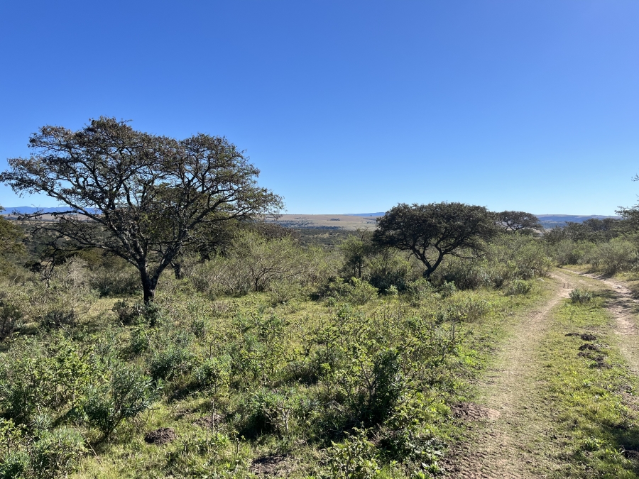 0 Bedroom Property for Sale in Stutterheim Rural Eastern Cape